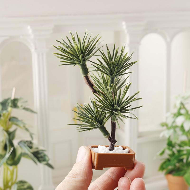 Us Bonsai Garden - قطعة واحدة، نموذج شجرة صنوبر خضراء