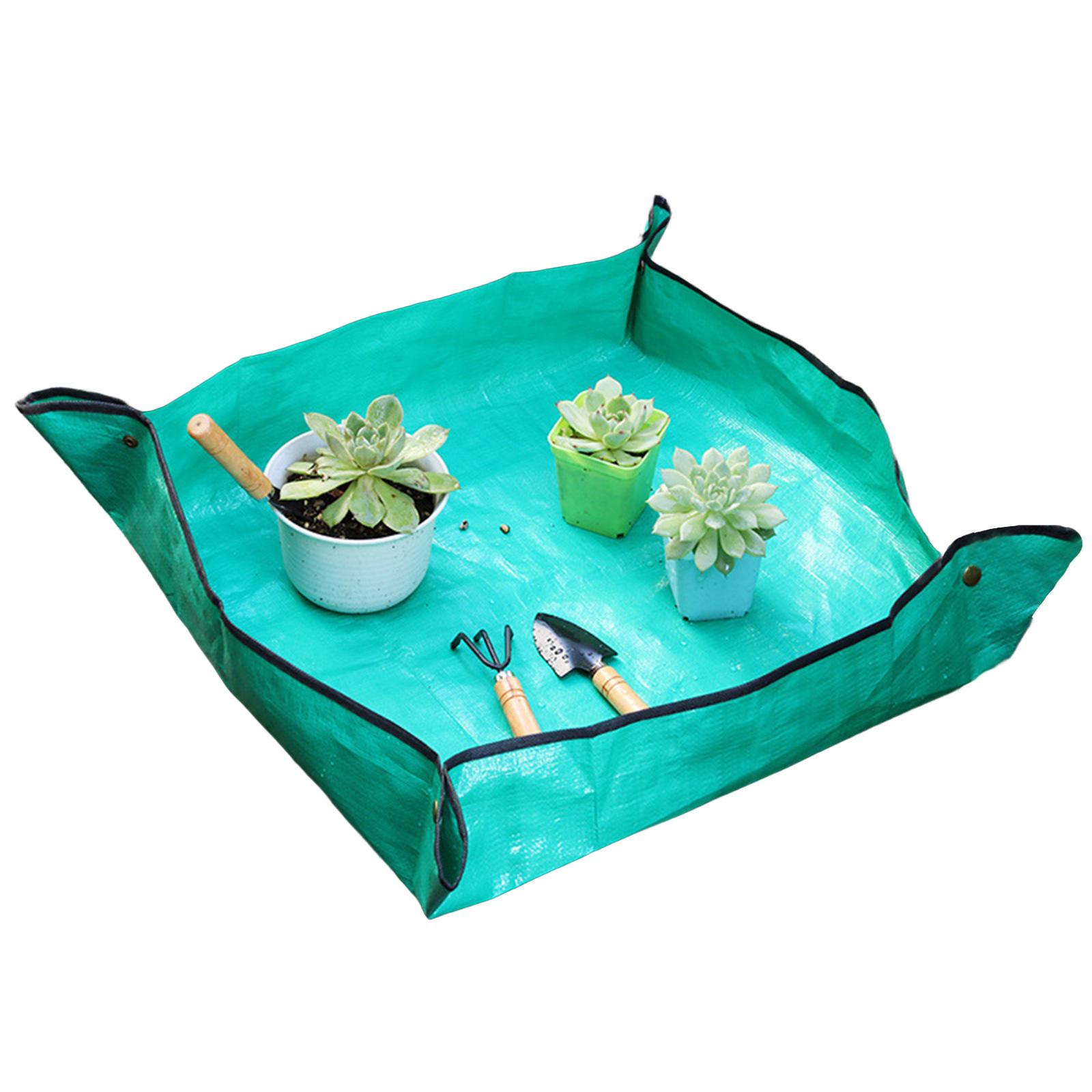 حصيرة زراعة ونقل النباتات، حصي - مراجعة Bonsai Repotting Mat وسعره