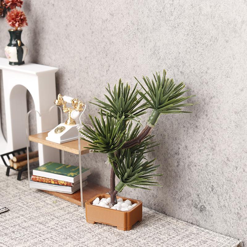 قطعة واحدة من نموذج شجرة الصنو - مراجعة Us Bonsai Garden وسعره