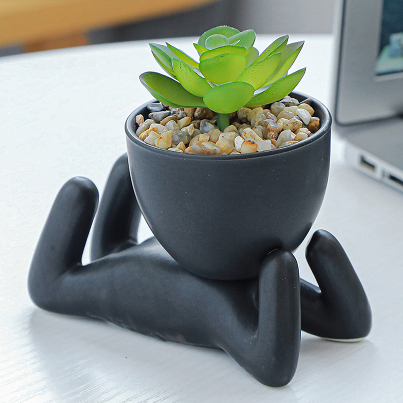 الشمال الإبداعية لطيف رجل شجرة - مراجعة Bonsai Tree Zen Garden وسعره