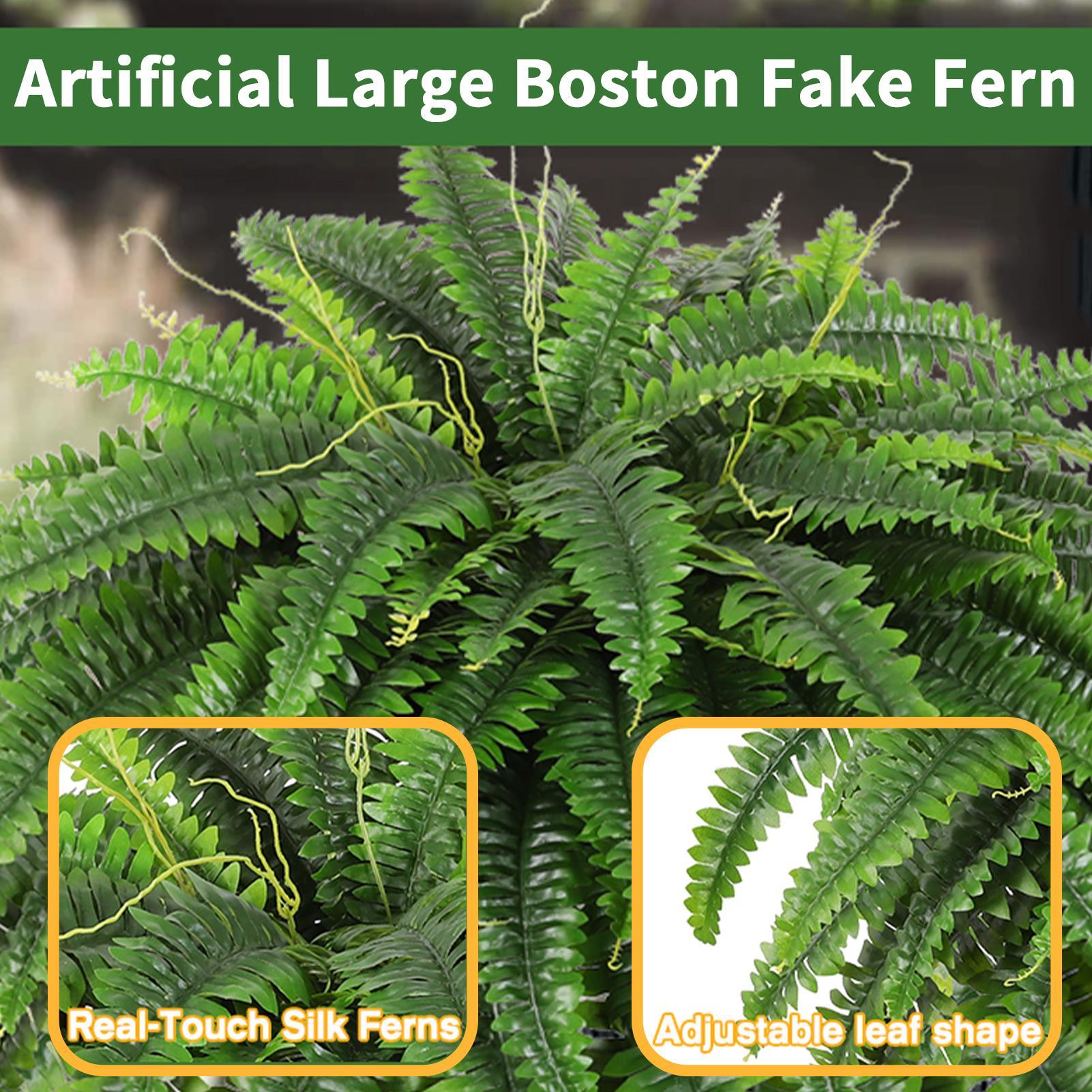 نباتات بلاستيكية اصطناعية تشبه - مراجعة Bonsai Garden Boston وسعره