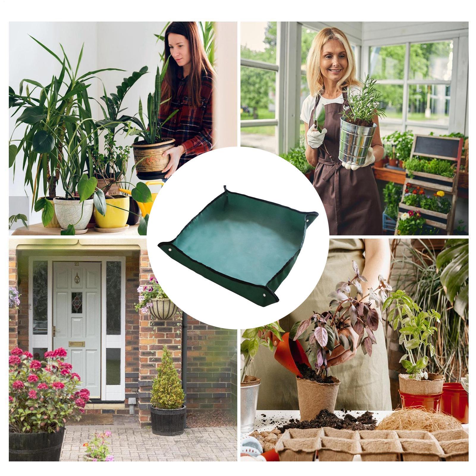 حصيرة زراعة للحدائق 29.5×43.3  - مراجعة Bonsai Repotting Mat وسعره