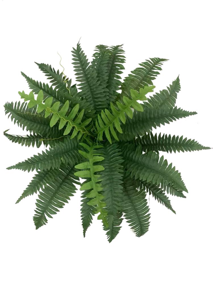 نباتات بلاستيكية اصطناعية تشبه - مراجعة Bonsai Garden Boston وسعره