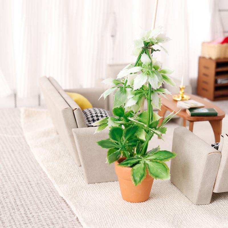 1/12 دمية محاكاة النباتات الخض - مراجعة Us Bonsai Garden وسعره