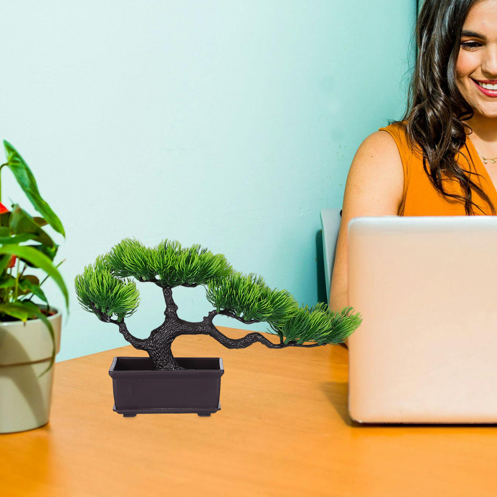 شجرة بونساي اصطناعية، شجرة صنو - مراجعة Bonsai Tree Zen Garden وسعره