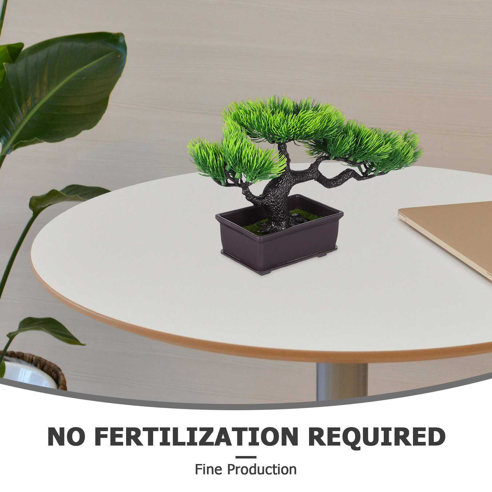 شجرة بونساي اصطناعية، شجرة صنو - مراجعة Bonsai Tree Zen Garden وسعره