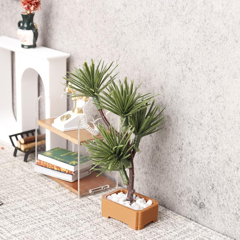 قطعة واحدة، نموذج شجرة صنوبر خ - مراجعة Us Bonsai Garden وسعره