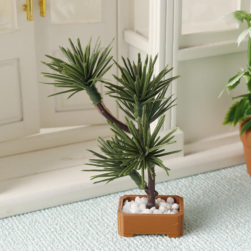 قطعة واحدة، نموذج شجرة صنوبر خ - مراجعة Us Bonsai Garden وسعره