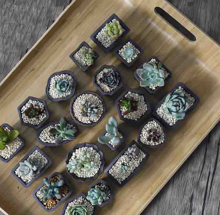 Yixing الأرجواني الرمال اناء ل - مراجعة Bonsai Tree Zen Garden وسعره