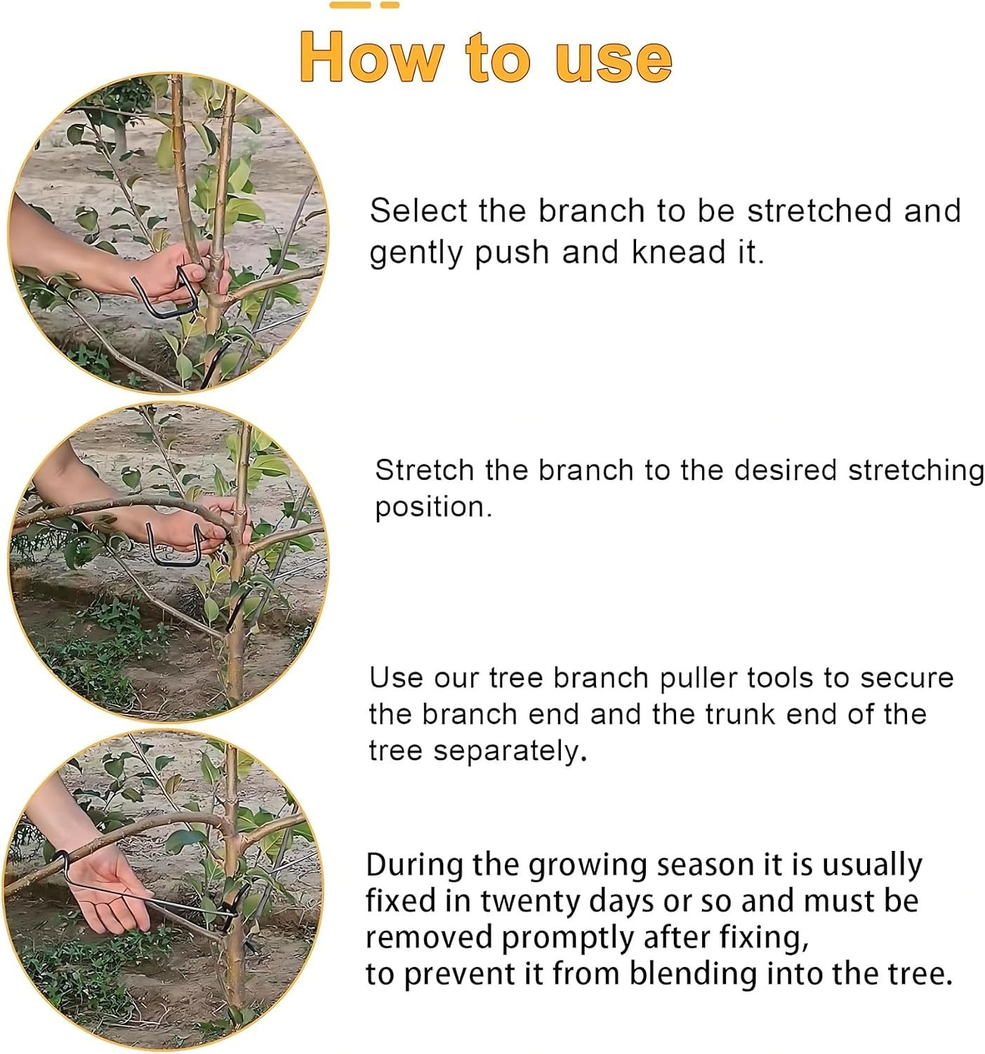 أداة قابلة للتعديل لتشكيل وتدر - مراجعة Us Bonsai Garden وسعره