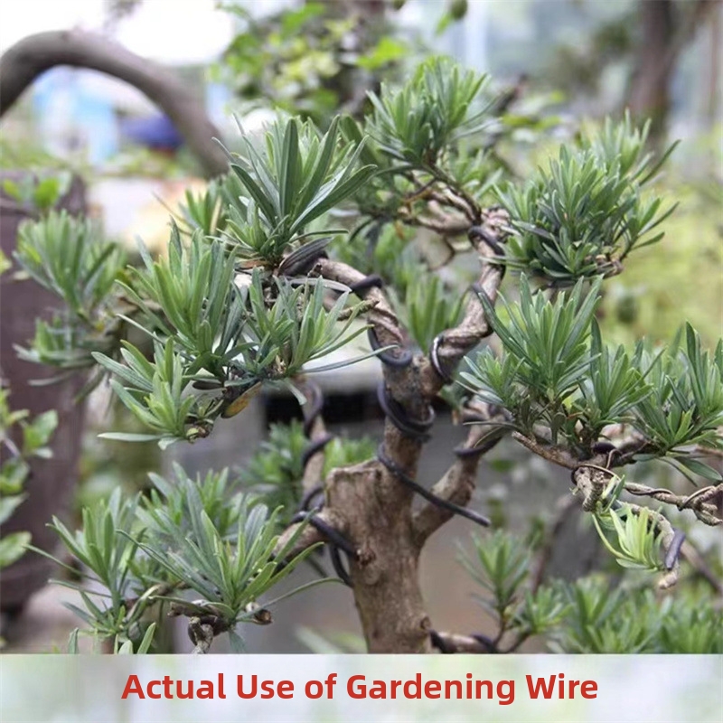 أسلاك بونساي من الألومنيوم بسم - مراجعة Us Bonsai Garden وسعره