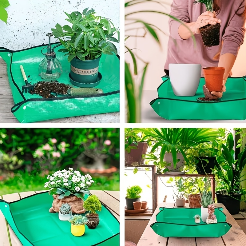 حصيرة كبيرة قابلة للطي من البو - مراجعة Bonsai Repotting Mat وسعره