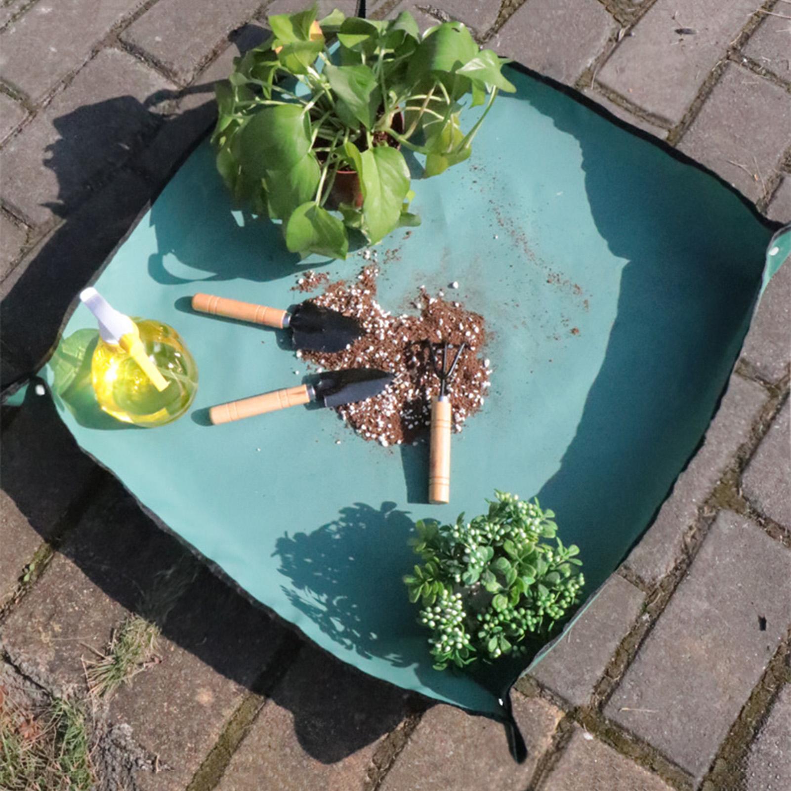 حصيرة إعادة زراعة النباتات للح - مراجعة Bonsai Repotting Mat وسعره