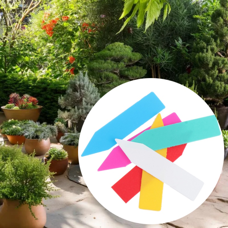 100 قطعة 5*1 سنتيمتر حديقة الن - مراجعة Bonsai Garden Name وسعره