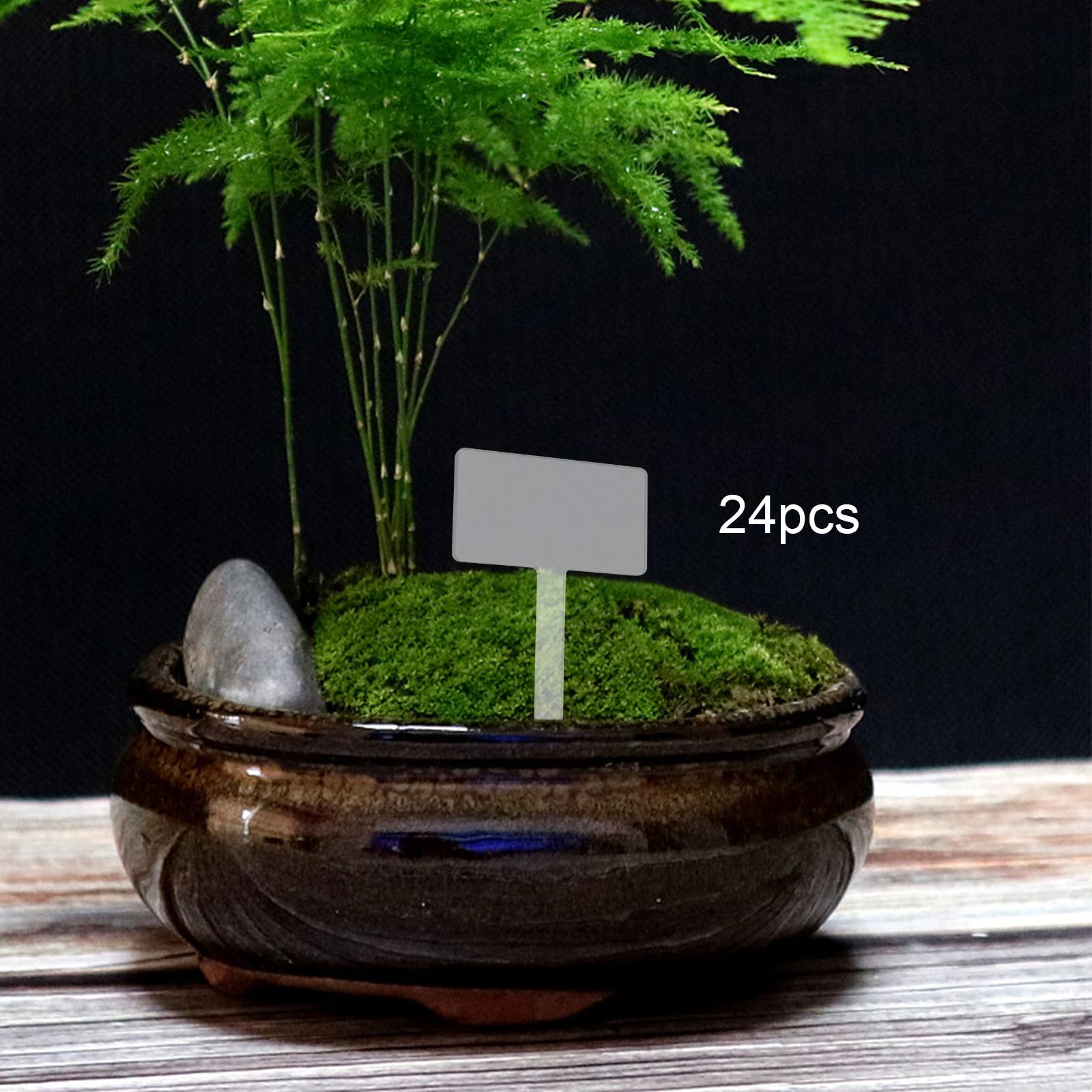 24x علامات أكريليك لأسماء النب - مراجعة Bonsai Garden Name وسعره